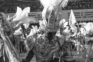 Parade of Recreative Society  Samba School Portela