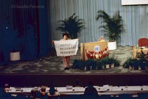 IV Conferência Mundial da Mulher, Centro Internacional de Convenções