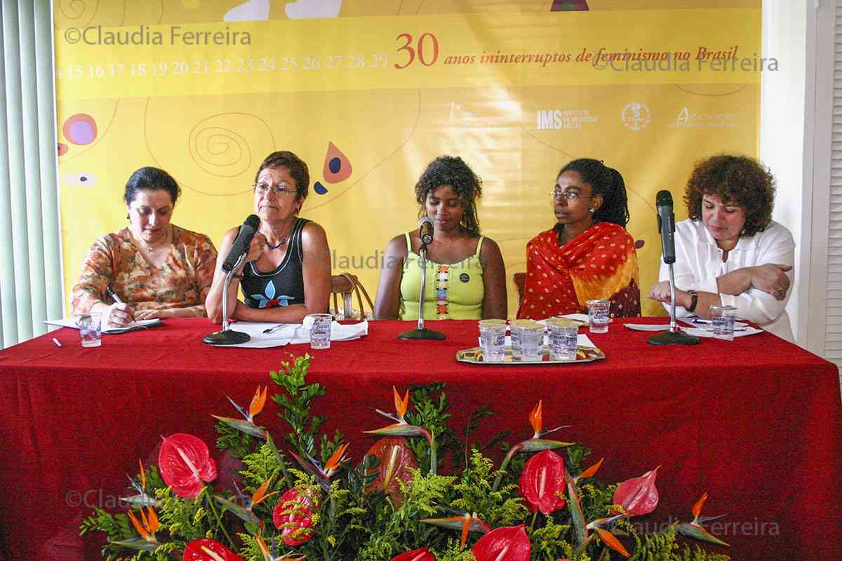 SEMINÁRIO 30 ANOS ININTERRUPTOS DE FEMINISMO NO BRASIL  